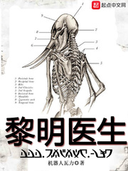 黎明医生最新章节