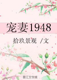 宠妻1948[重生]最新章节