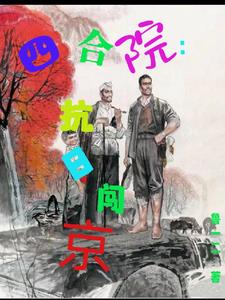 四合院：抗日闯京最新章节